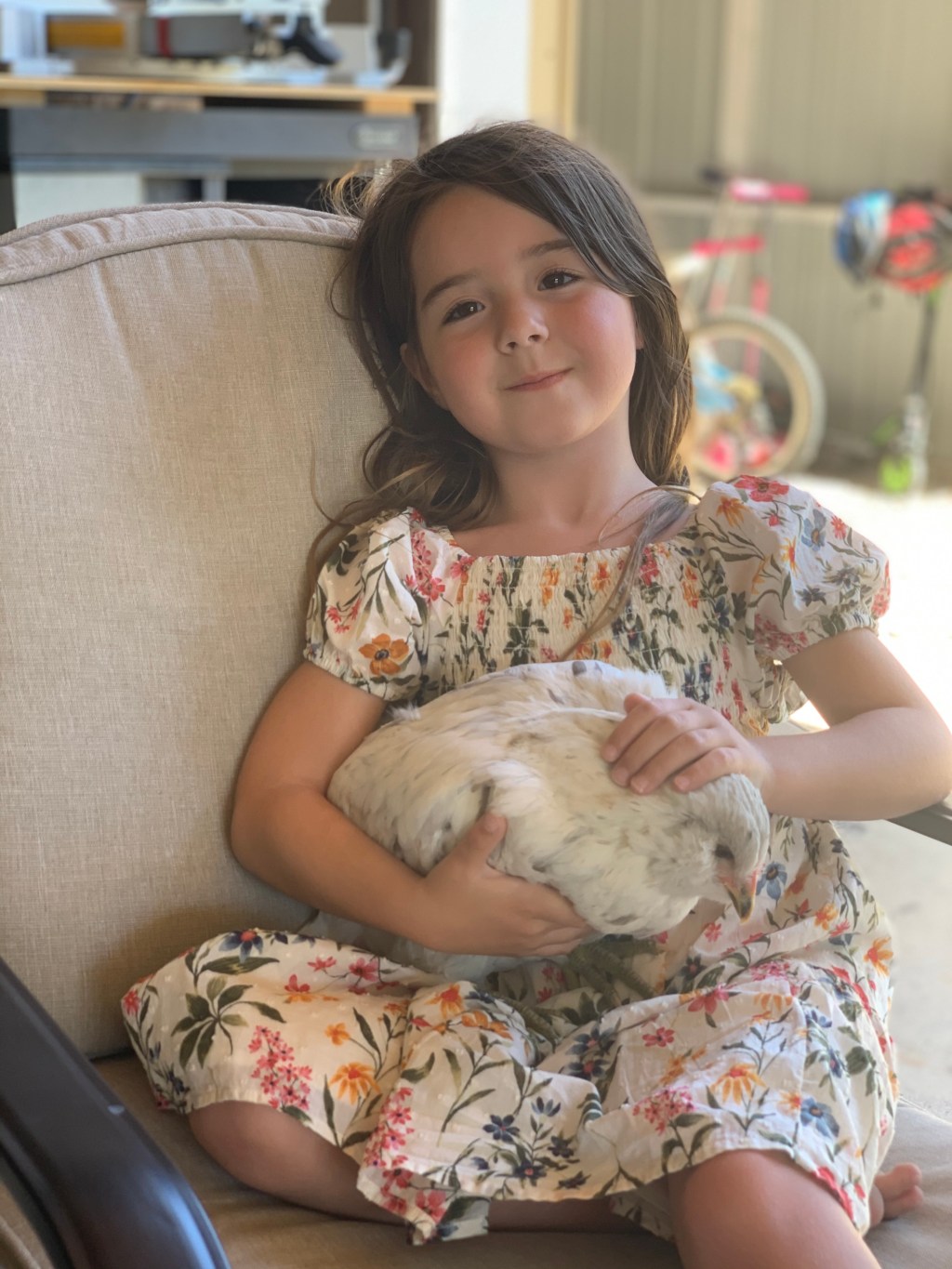 Chicks 101: Supply check&nbsp;list