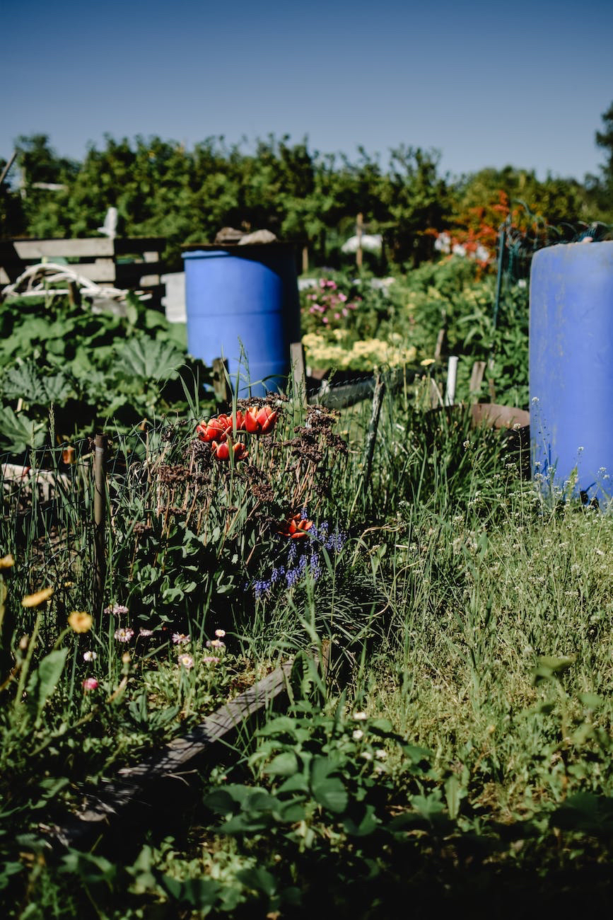 Permaculture: What is it and how to do&nbsp;it.